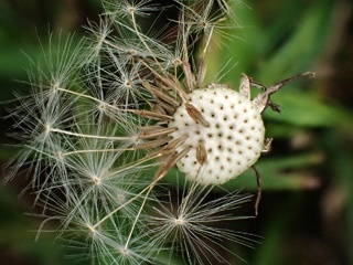 P3300630a